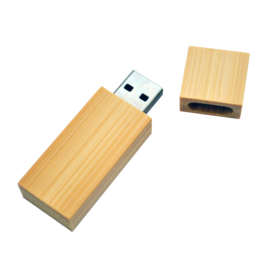 14930.jpg Pendrive AP1045