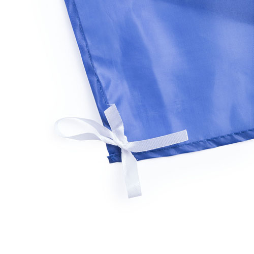 20057.jpg Bandera Dambor
