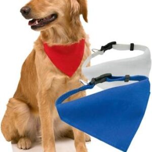 239.jpg Collar Bandana Roco