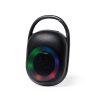 33924.jpg Altavoz Walen