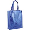 449.jpg Bolsa Ides