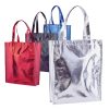 453.jpg Bolsa Ides