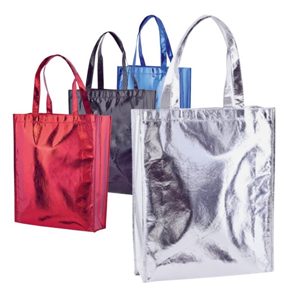 453.jpg Bolsa Ides