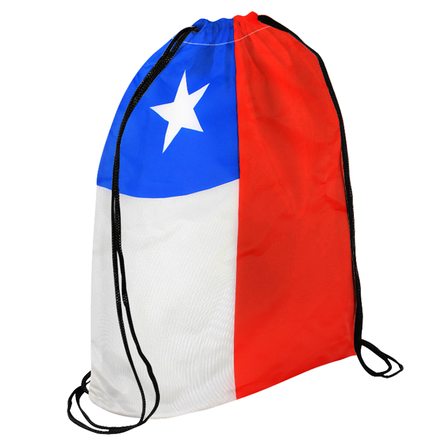 D58CHILE Mochila Flag
