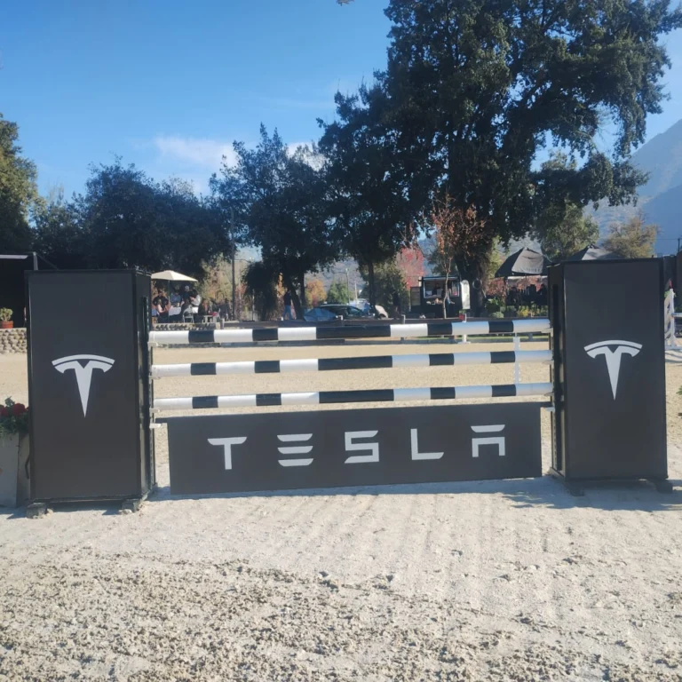 tesla_-768x768