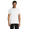 vc11380102Apng-1664209128.png Polera Regent