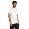 vc11380102Cpng-1664209135.png Polera Regent