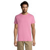 vc11380136Apng-1664209137.png Polera Regent