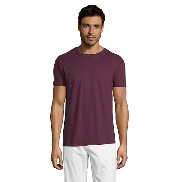 vc11380146Apng-1664209147.png Polera Regent