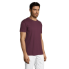 vc11380146Cpng-1664209153.png Polera Regent