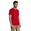 vc11380154Cpng-1664209182.png Polera Regent