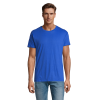 vc11380241Apng-1664209186.png Polera Regent