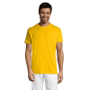 vc11380301Apng-1664209206.png Polera Regent