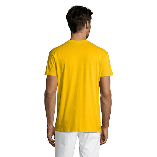 vc11380301Bpng-1664209210.png Polera Regent