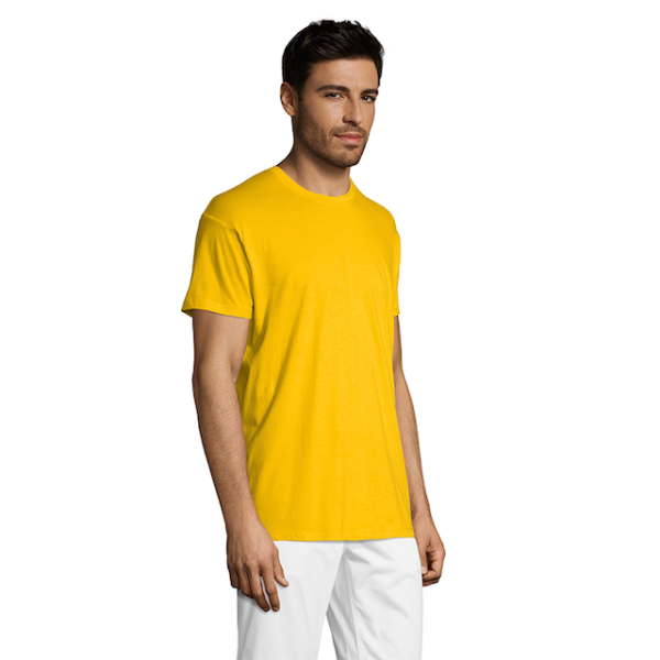 vc11380301Cpng-1664209219.png Polera Regent
