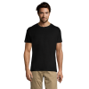vc11380309Apng-1664209221.png Polera Regent