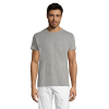 vc11380350Apng-1664209238.png Polera Regent