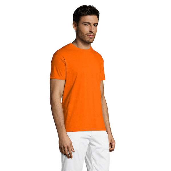 vc11380400Cpng-1664209257.png Polera Regent