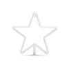 01-6 LUZ NEÓN ESTRELLA