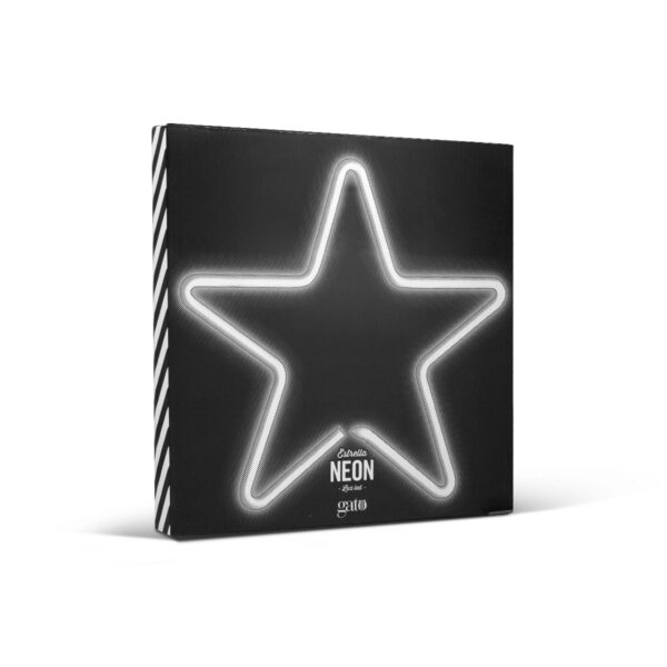 05-4 LUZ NEÓN ESTRELLA