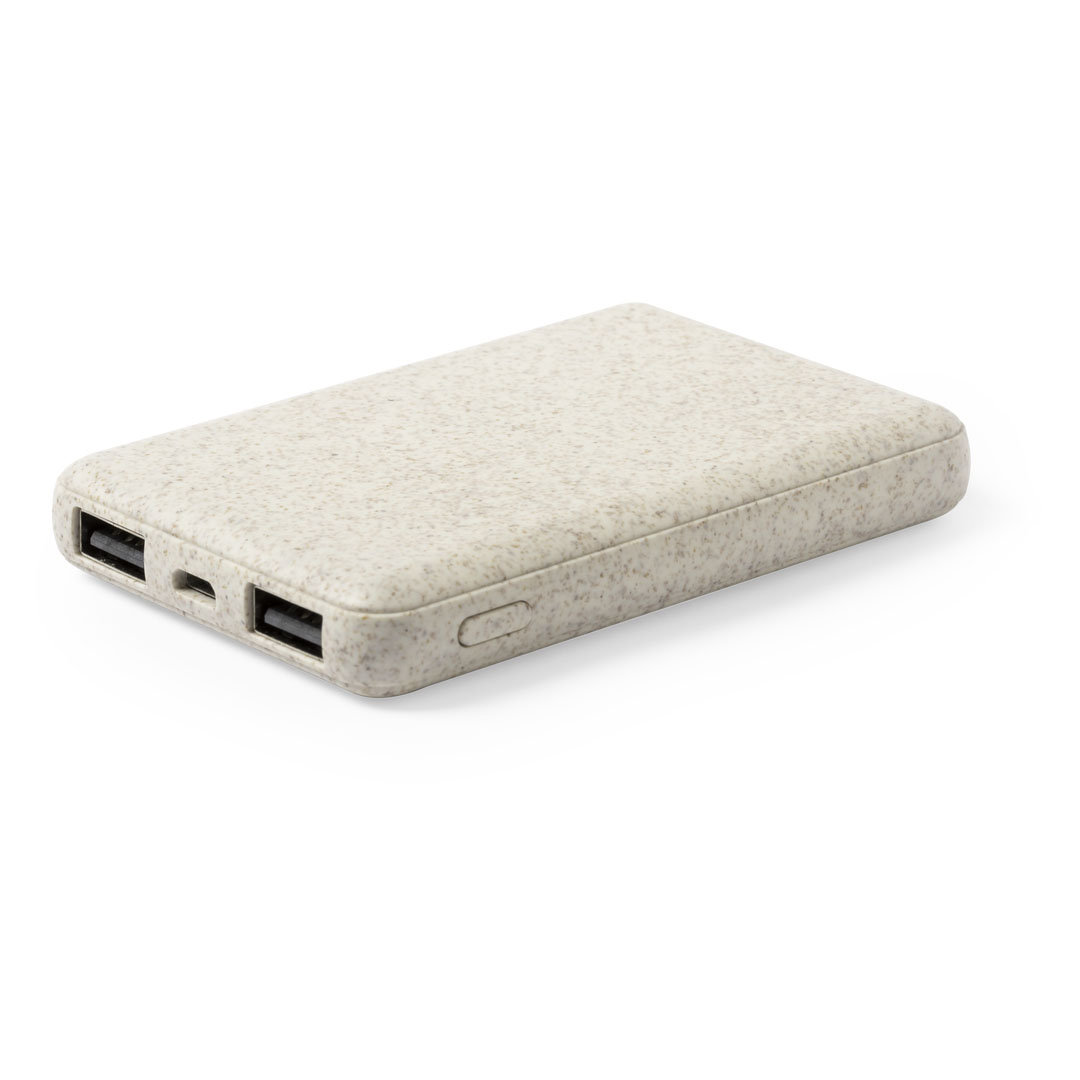22957.jpg Power Bank Shiden