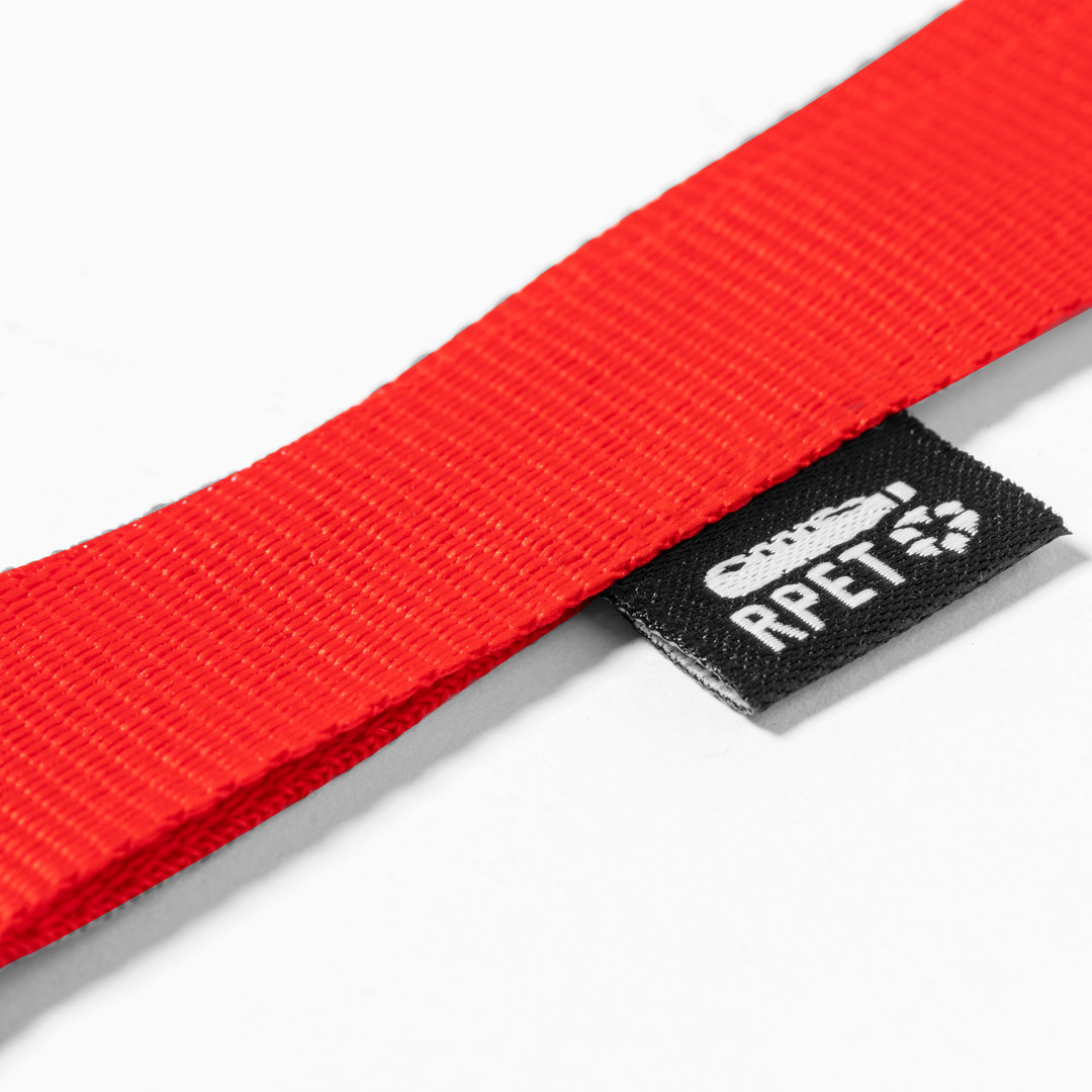 32556.jpg Lanyard Loriet