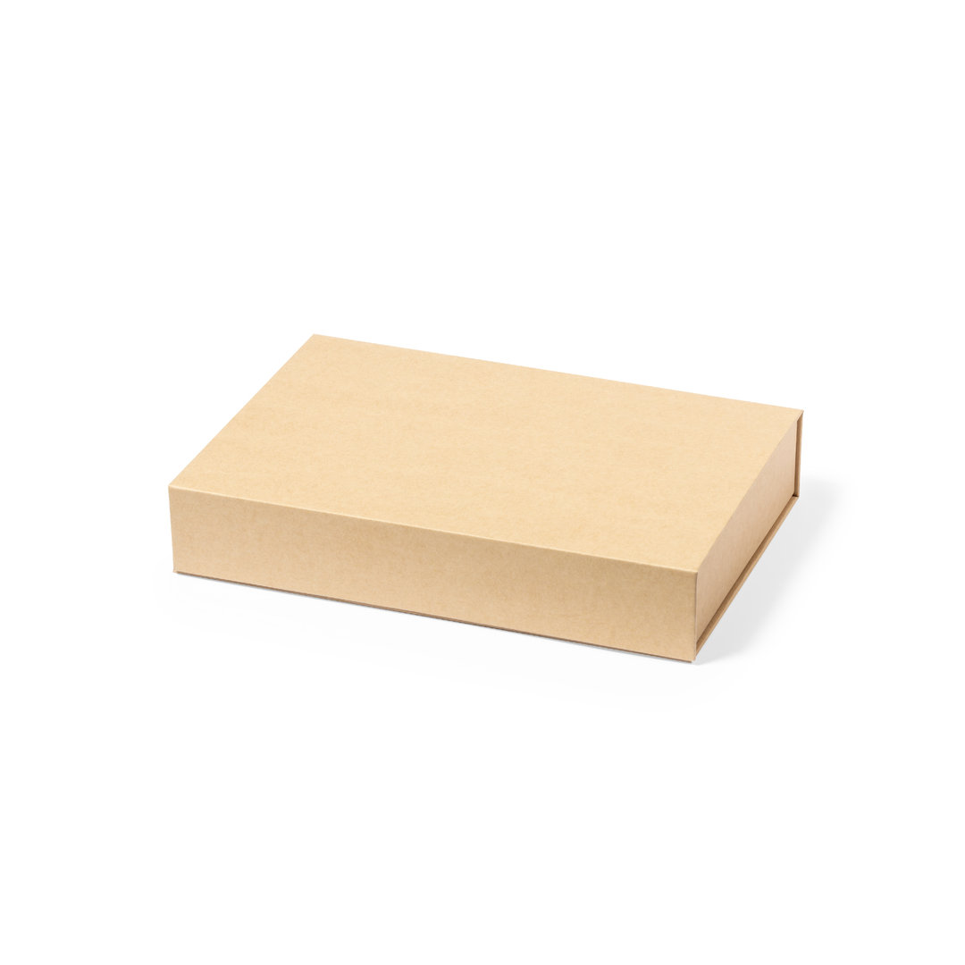 33170.jpg Placa Pulman