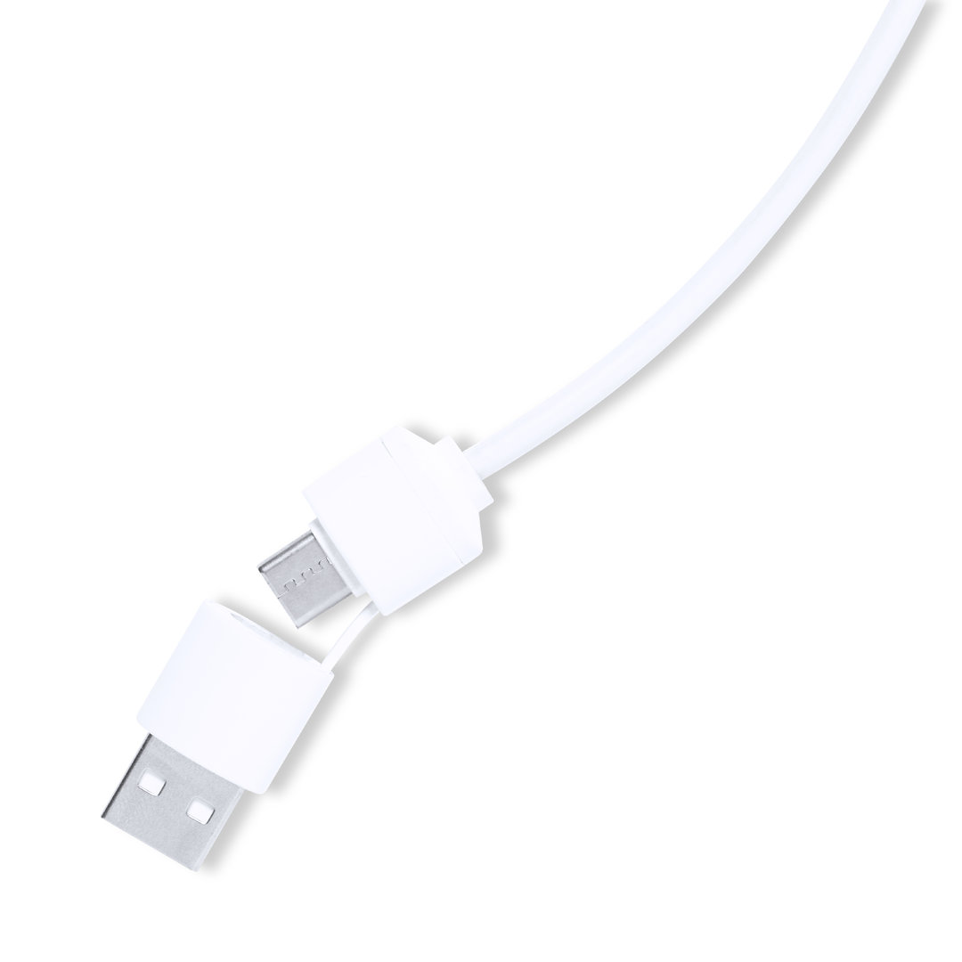 33286.jpg Puerto USB Lasiar