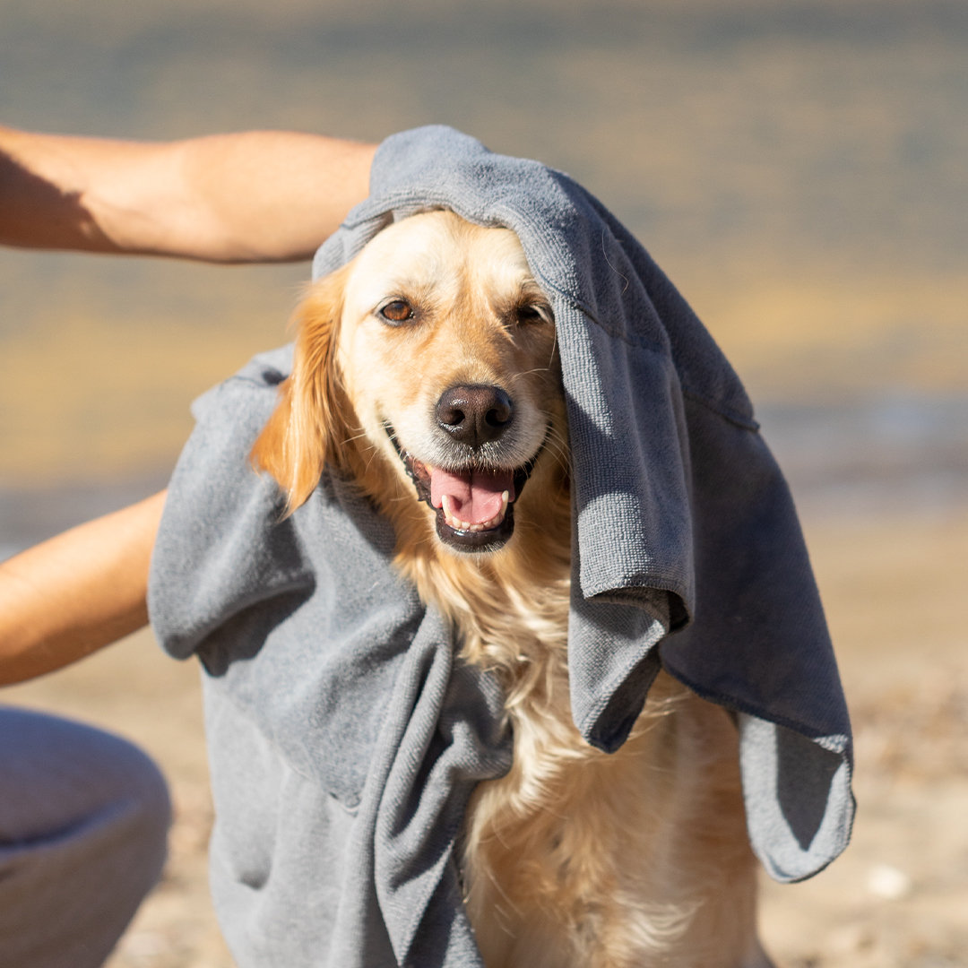 33823.jpg Toalla Mascotas Yelyn
