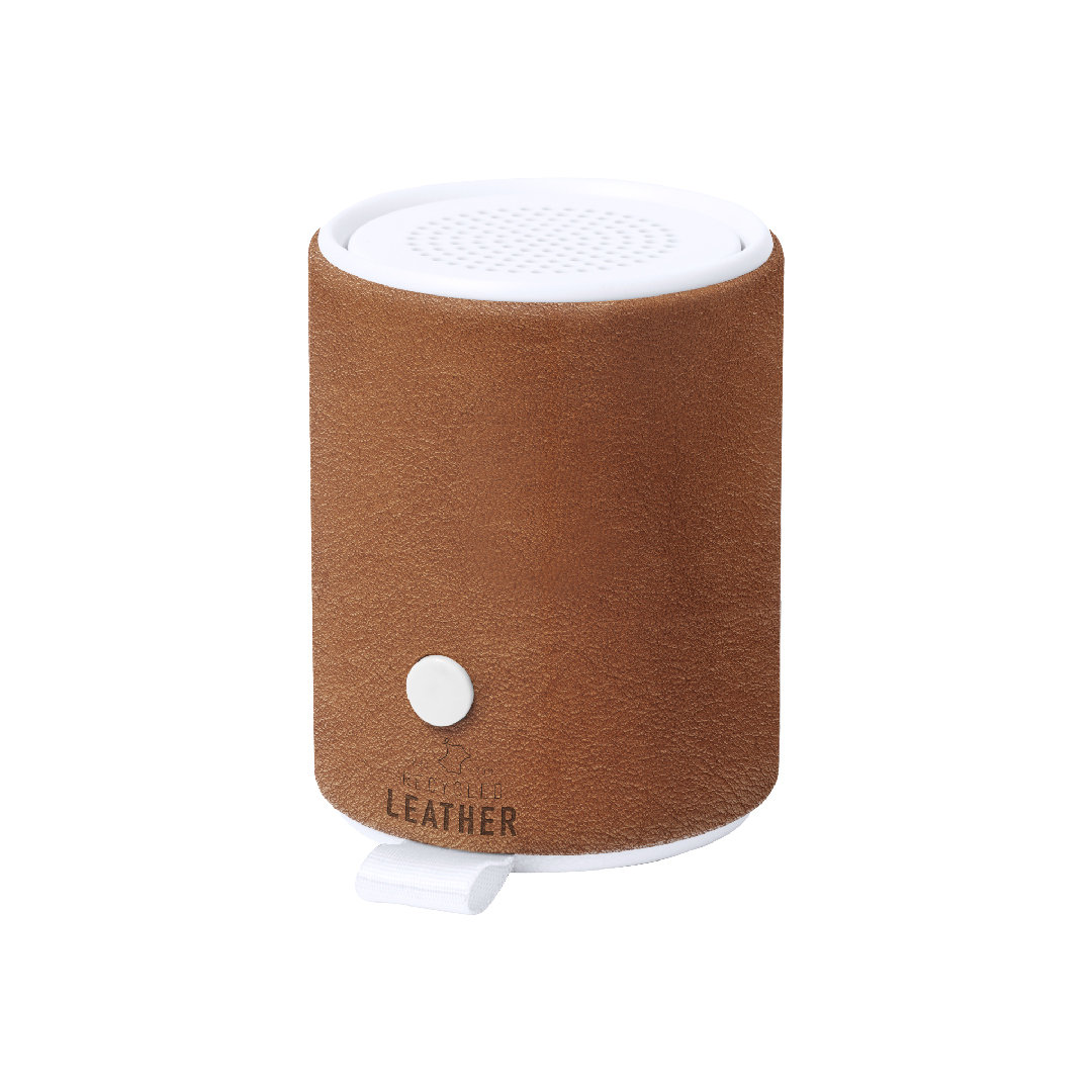 33917.jpg Altavoz Sotep RCS