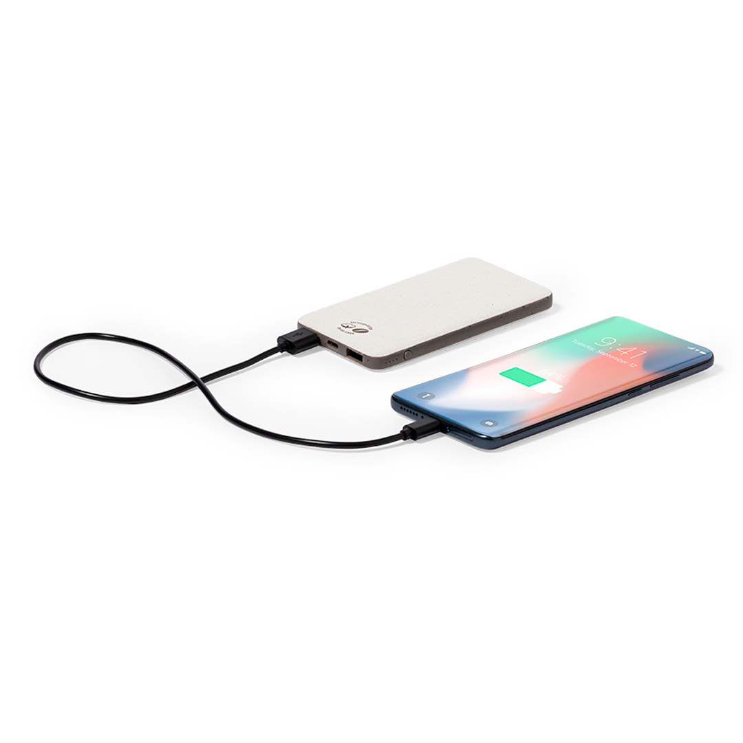 36353.jpg Power Bank Mayer