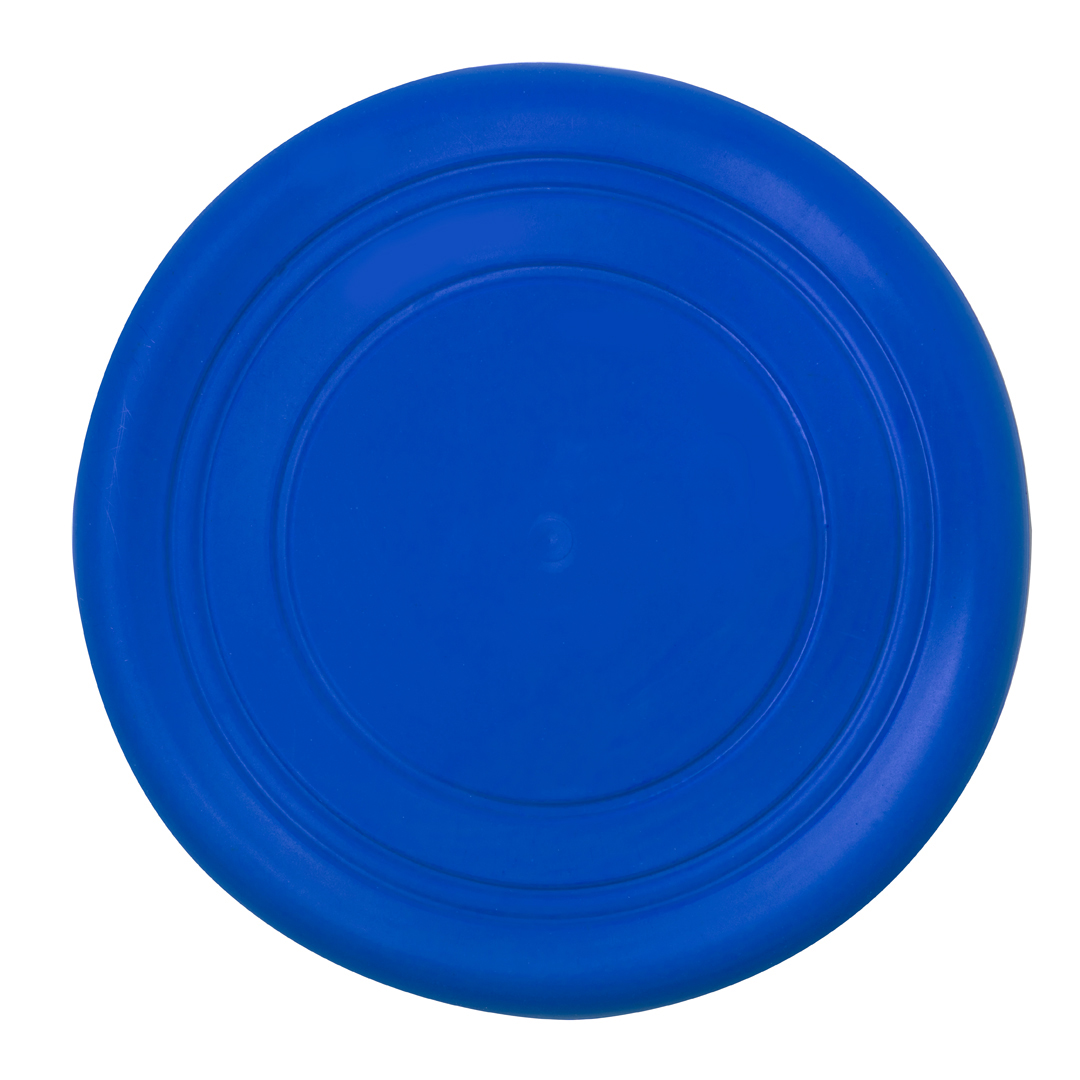 38101.jpg Frisbee Girud
