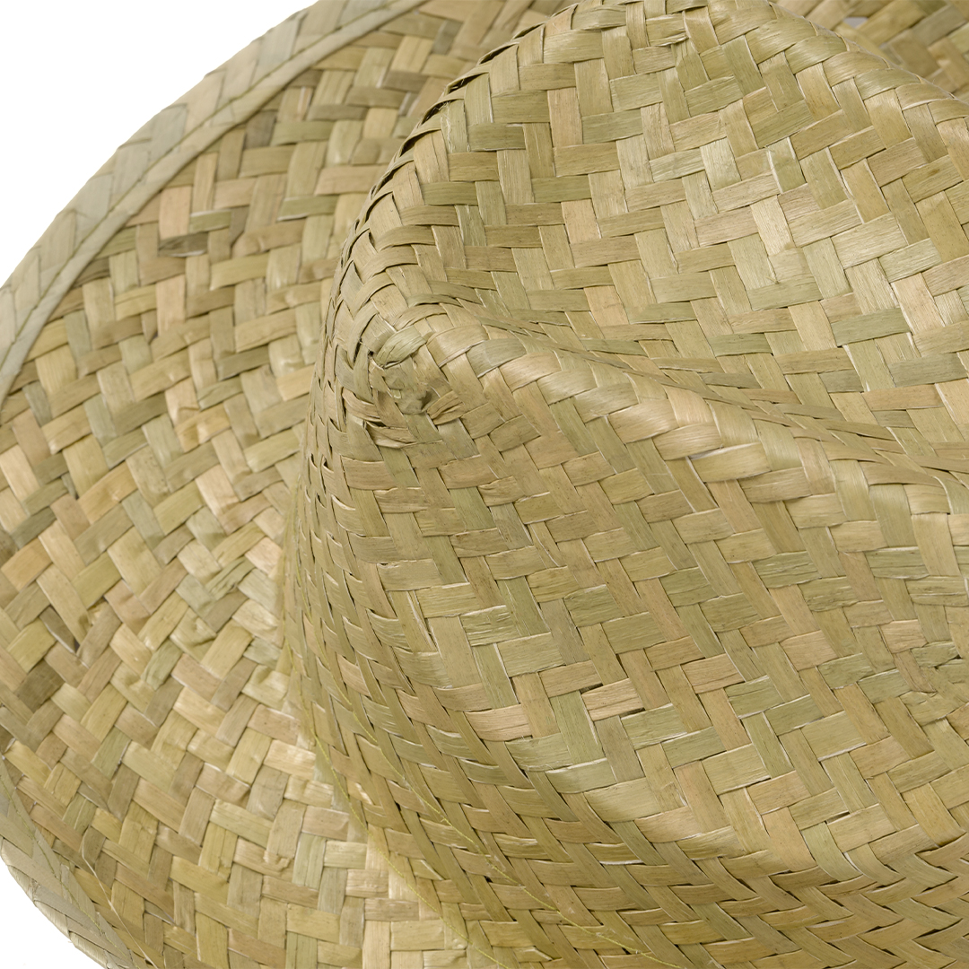 40997.jpg Sombrero Leone