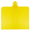 4160.jpg Poncho Zaril
