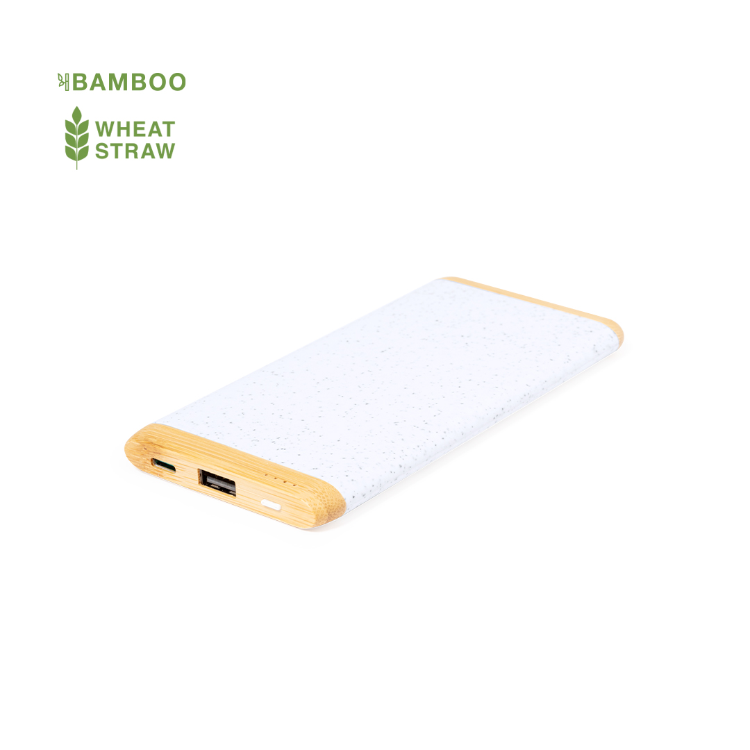 44117.jpg Power Bank Coquin