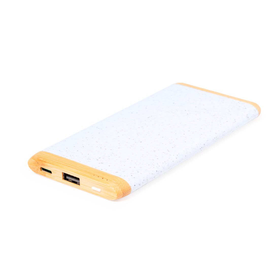 44118.jpg Power Bank Coquin