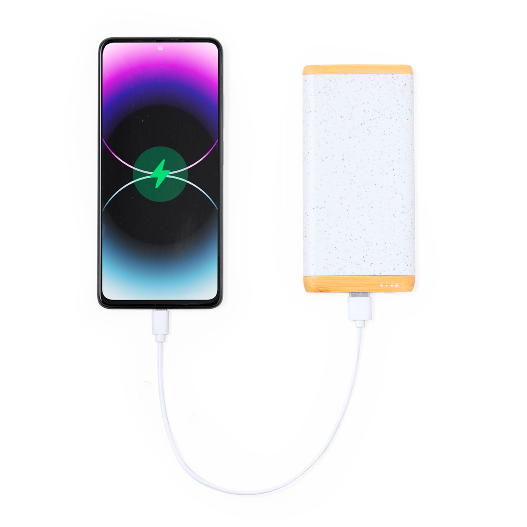 44119.jpg Power Bank Coquin