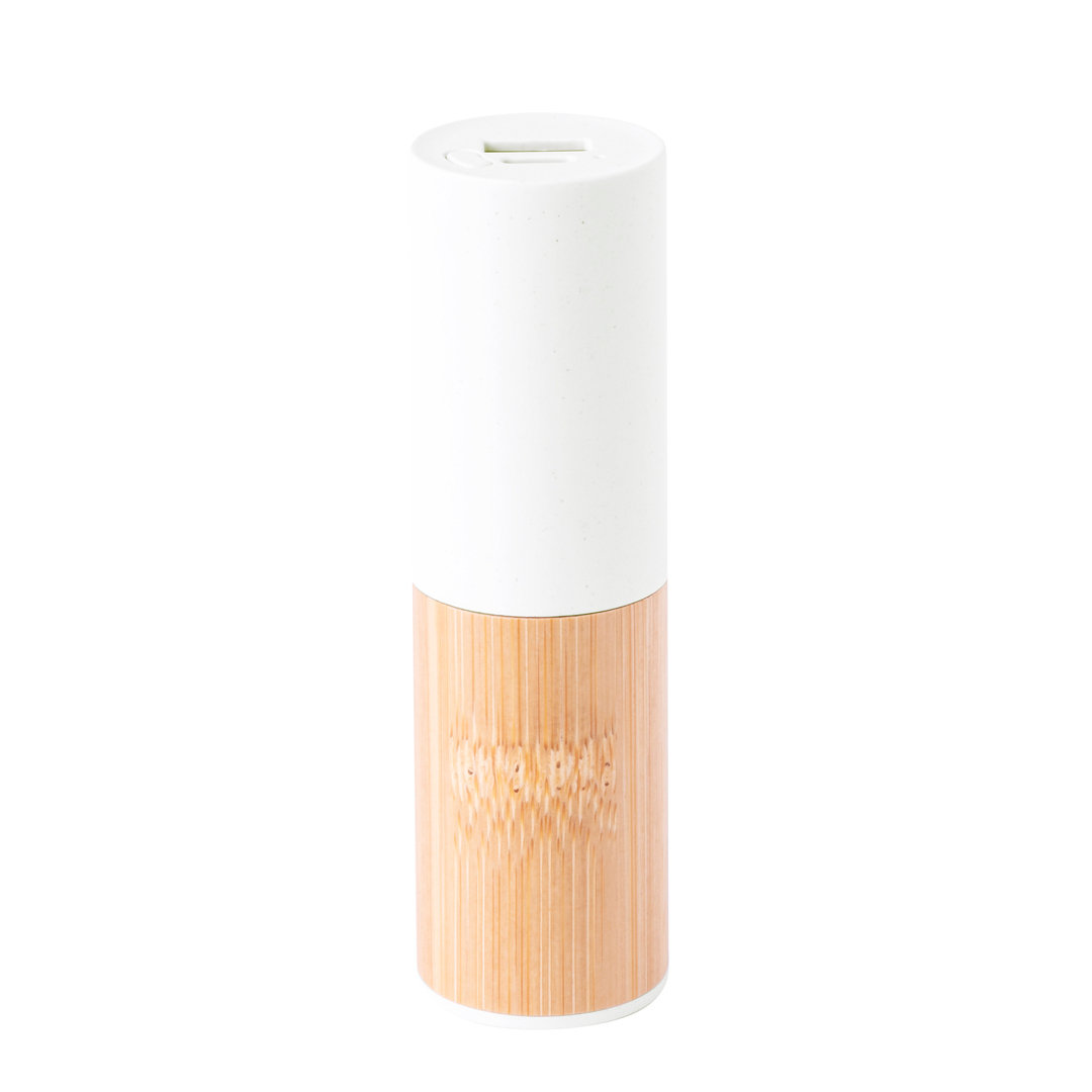 44134.jpg Power Bank Reneh