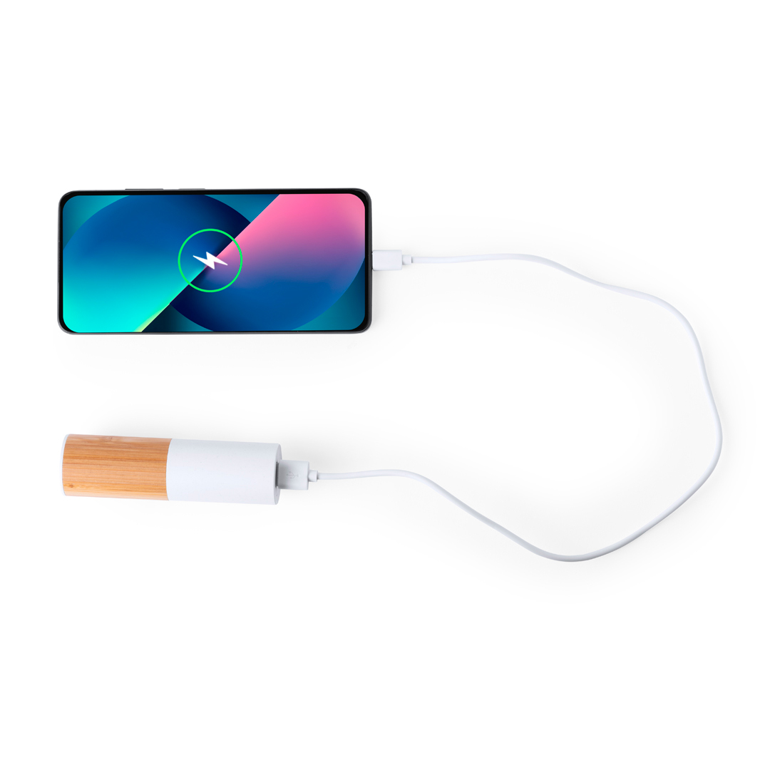 44137.jpg Power Bank Reneh