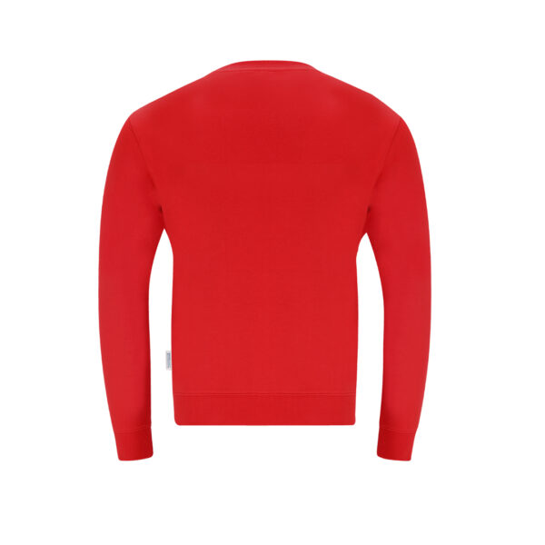 48869.jpg Sudadera Adulto Skelton