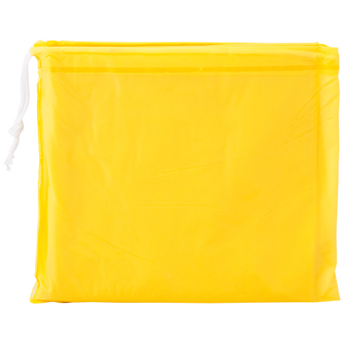 603.jpg Poncho Teo