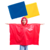 606.png Poncho Teo