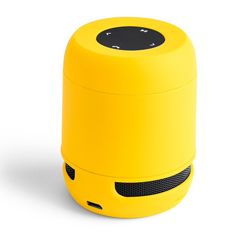 6201.jpg Altavoz Braiss