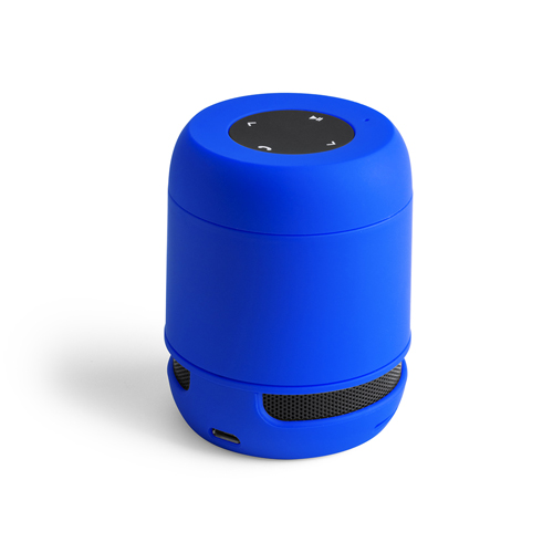 6202.jpg Altavoz Braiss