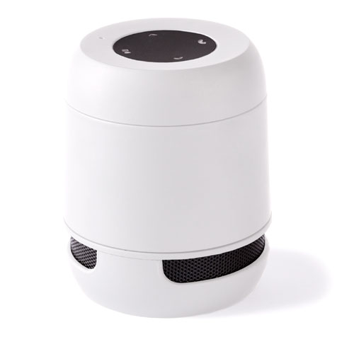 6203.jpg Altavoz Braiss