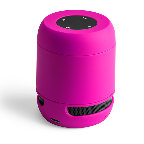 6204.jpg Altavoz Braiss