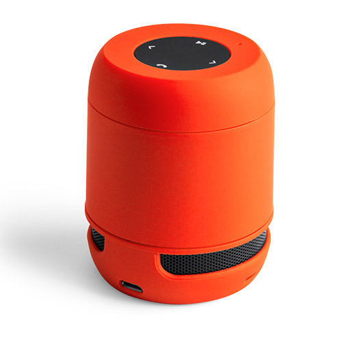 6205.jpg Altavoz Braiss