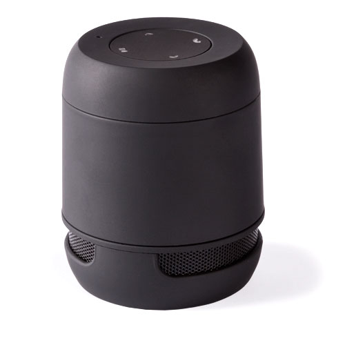 6206.jpg Altavoz Braiss