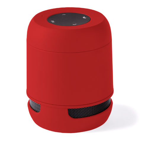 6207.jpg Altavoz Braiss