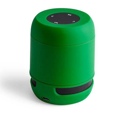 6208.jpg Altavoz Braiss